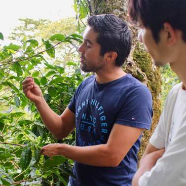 コーヒー豆のイメージ