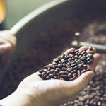 コーヒー豆のイメージ