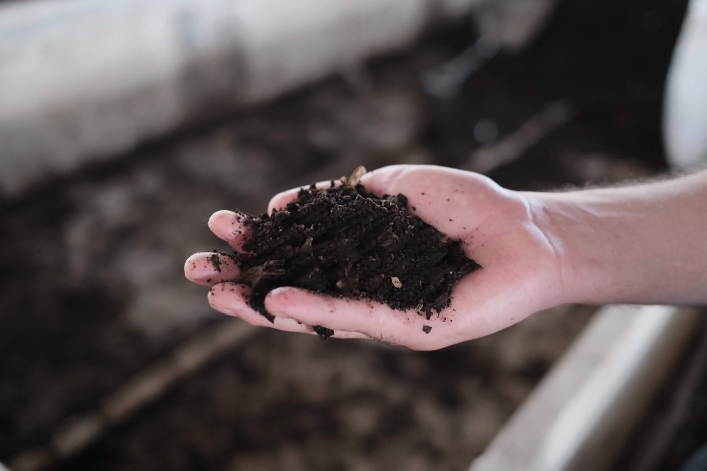 レセパ – Washed / ホンジュラス